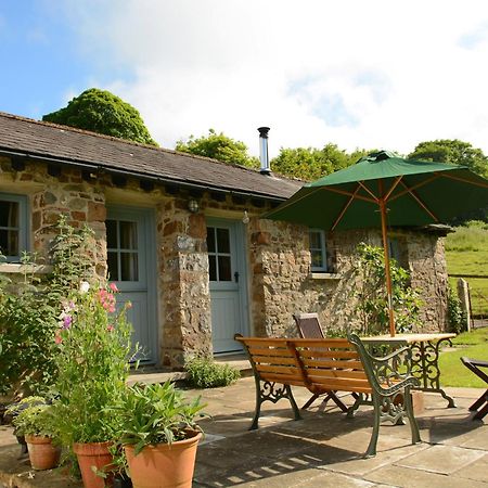 Dandelion Cottage, Amroth Kültér fotó
