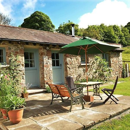 Dandelion Cottage, Amroth Kültér fotó