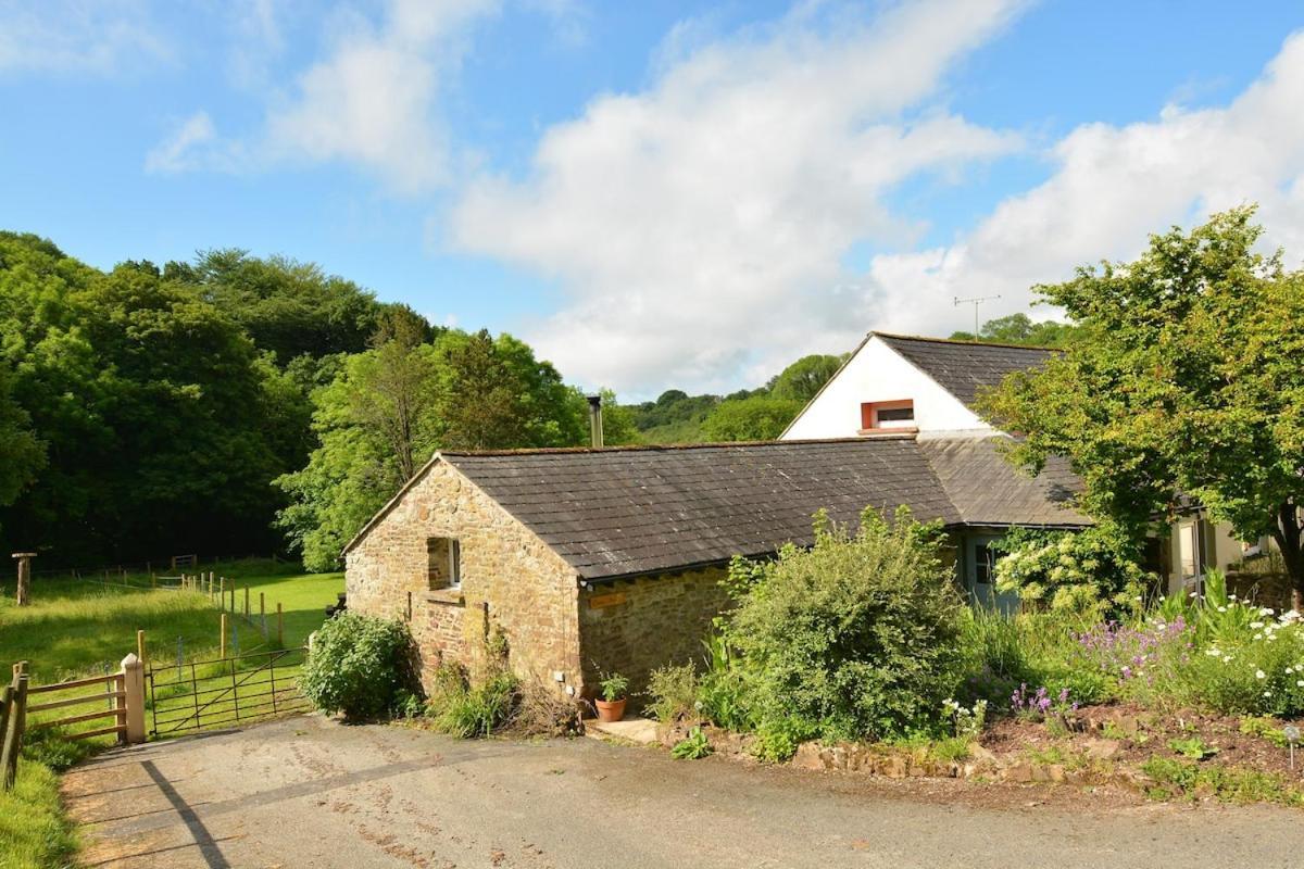 Dandelion Cottage, Amroth Kültér fotó
