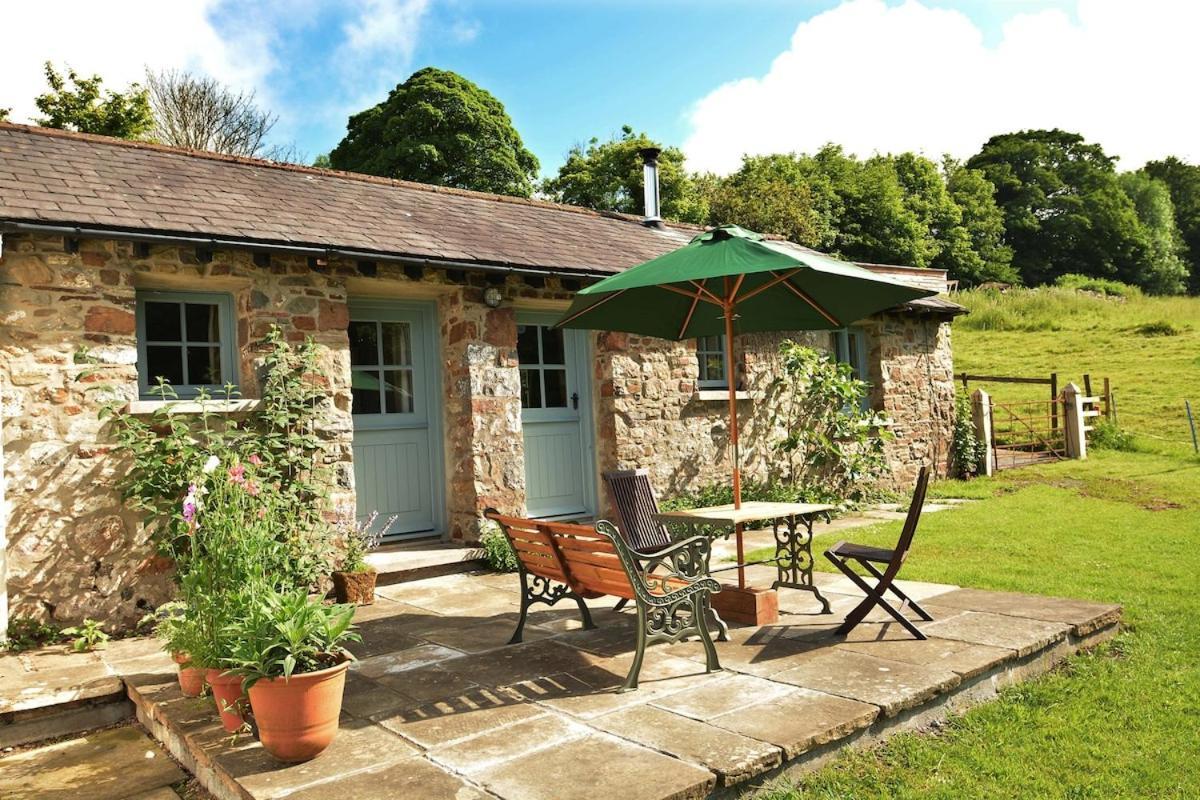 Dandelion Cottage, Amroth Kültér fotó